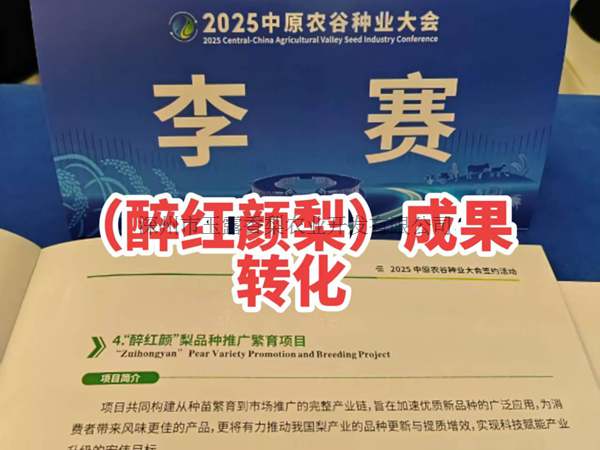 公司荣誉 